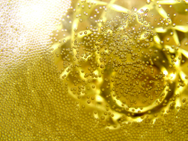 champagne bubbles (image courtesy Quinn Dombrowski)