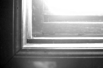 dirty window (image courtesy Michael W. May)